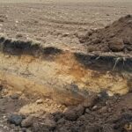 Вывоз чернозема и плодородного слоя