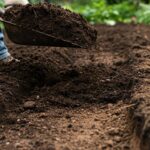 Вывоз чернозема и земли с частных участков