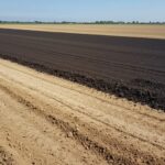 Вывоз чернозема и плодородного слоя
